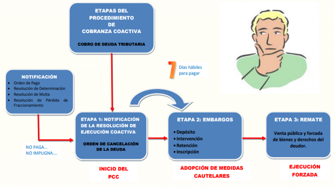 Etapas Del Proceso De Socializacion Lingsma Porn Sex Picture